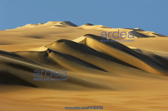 : Egypt, Great Sand Sea, Middle East, Africa : Egypt, Great Sand Sea, Middle East, Africa