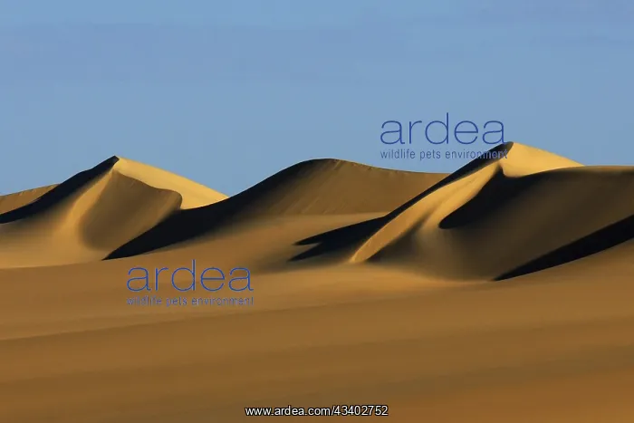 : Egypt, Great Sand Sea, Middle East, Africa : Egypt, Great Sand Sea, Middle East, Africa