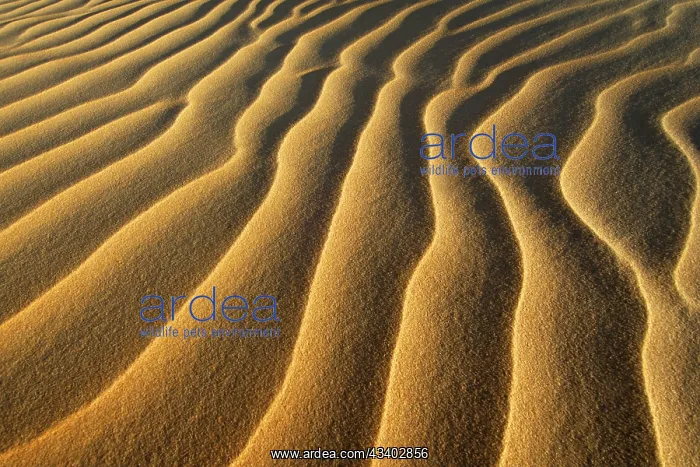 : Egypt, Great Sand Sea, Middle East, Africa : Egypt, Great Sand Sea, Middle East, Africa