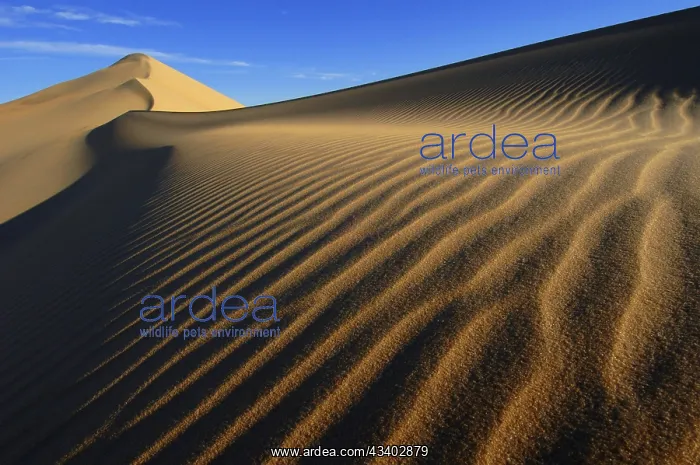 : Egypt, Great Sand Sea, Middle East, Africa : Egypt, Great Sand Sea, Middle East, Africa