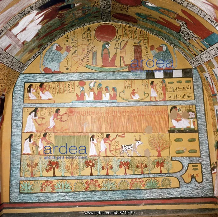  : Egypt - nobles tomb No 1 Sennedjem XIX Dyn 1300BC