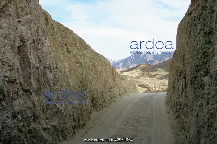 : Egypt - a path cut through rocks as a mountain : Egypt - a path cut through rocks as a mountain