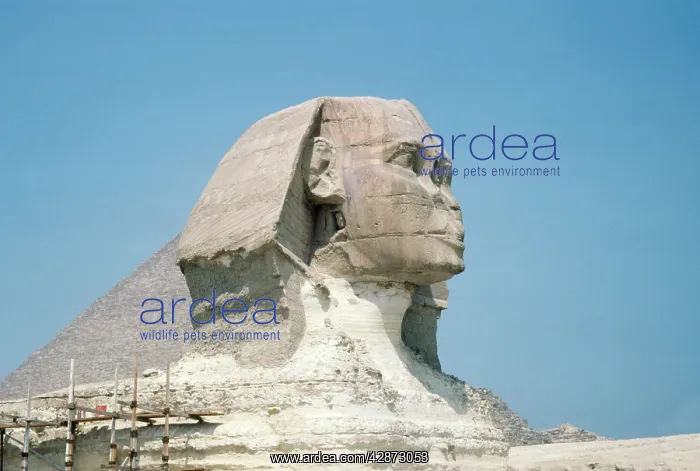  : Egypt - The Sphinx