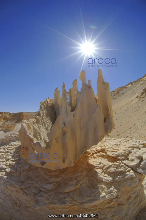 : Egypt, White Desert, bizarre sandstone cliffs, Middle : Egypt, White Desert, bizarre sandstone cliffs, Middle