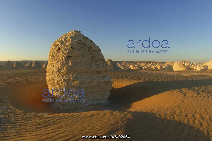 : Egypt, White Desert, bizarre sandstone cliffs, Middle : Egypt, White Desert, bizarre sandstone cliffs, Middle