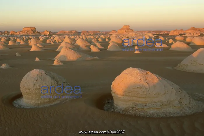 : Egypt, White Desert, bizarre sandstone cliffs, Middle : Egypt, White Desert, bizarre sandstone cliffs, Middle