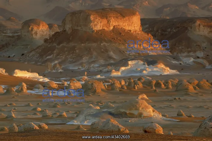 : Egypt, White Desert, bizarre sandstone cliffs, Middle : Egypt, White Desert, bizarre sandstone cliffs, Middle
