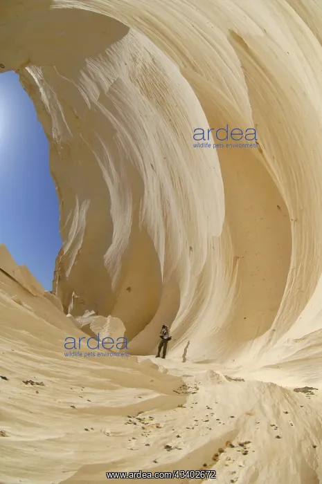 : Egypt, White Desert, bizarre sandstone cliffs, Middle : Egypt, White Desert, bizarre sandstone cliffs, Middle