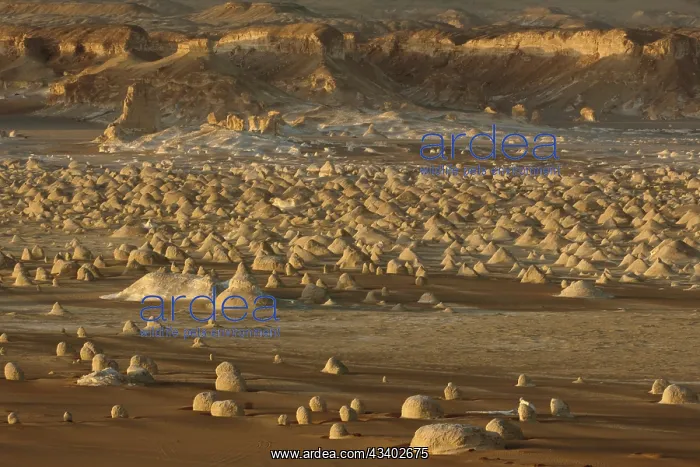: Egypt, White Desert, bizarre sandstone cliffs, Middle : Egypt, White Desert, bizarre sandstone cliffs, Middle
