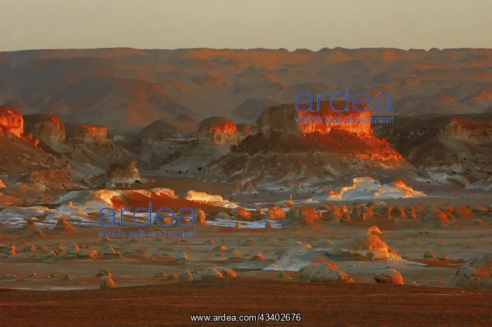 : Egypt, White Desert, bizarre sandstone cliffs, Middle : Egypt, White Desert, bizarre sandstone cliffs, Middle