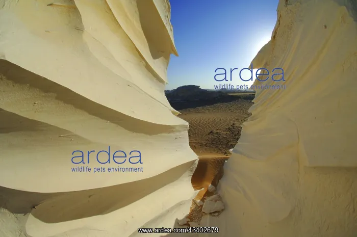 : Egypt, White Desert, bizarre sandstone cliffs, Middle : Egypt, White Desert, bizarre sandstone cliffs, Middle