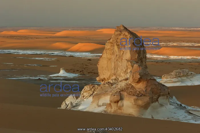 : Egypt, White Desert, bizarre sandstone cliffs, Middle : Egypt, White Desert, bizarre sandstone cliffs, Middle