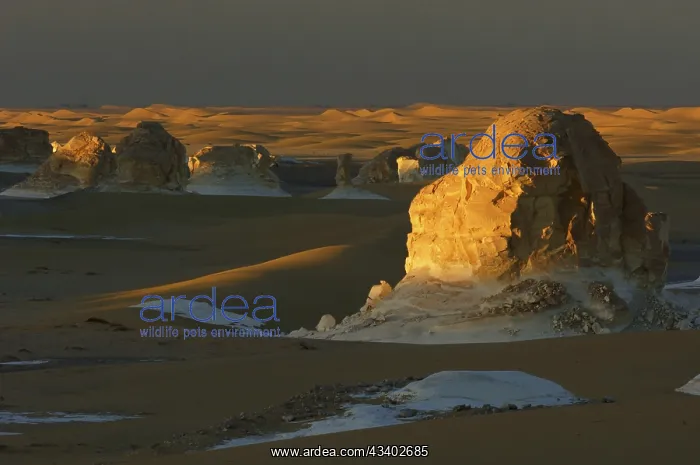: Egypt, White Desert, bizarre sandstone cliffs, Middle : Egypt, White Desert, bizarre sandstone cliffs, Middle
