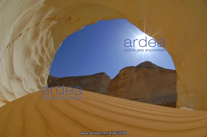 : Egypt, White Desert, bizarre sandstone cliffs, Middle : Egypt, White Desert, bizarre sandstone cliffs, Middle