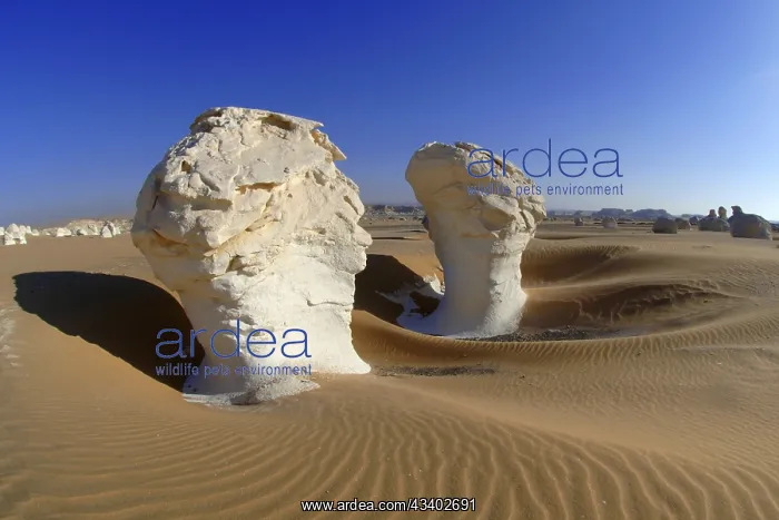 : Egypt, White Desert, bizarre sandstone cliffs, Middle : Egypt, White Desert, bizarre sandstone cliffs, Middle