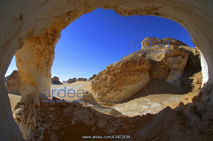 : Egypt, White Desert, bizarre sandstone cliffs, Middle : Egypt, White Desert, bizarre sandstone cliffs, Middle