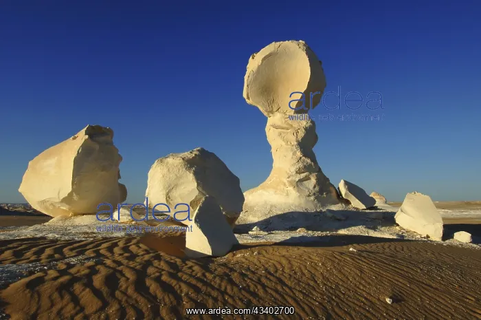 : Egypt, White Desert, bizarre sandstone cliffs, Middle : Egypt, White Desert, bizarre sandstone cliffs, Middle
