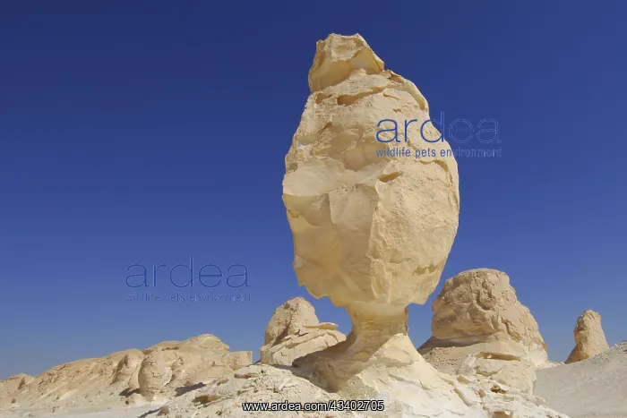 : Egypt, White Desert, bizarre sandstone cliffs, Middle : Egypt, White Desert, bizarre sandstone cliffs, Middle
