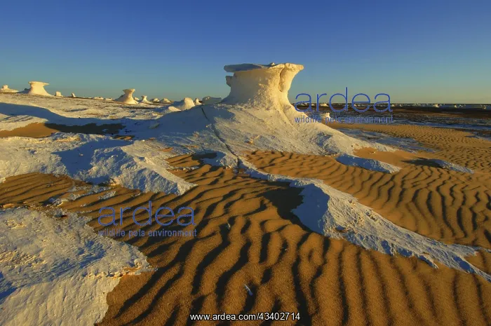 : Egypt, White Desert, bizarre sandstone cliffs, Middle : Egypt, White Desert, bizarre sandstone cliffs, Middle