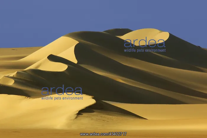 : Egypt, White Desert, bizarre sandstone cliffs, Middle : Egypt, White Desert, bizarre sandstone cliffs, Middle