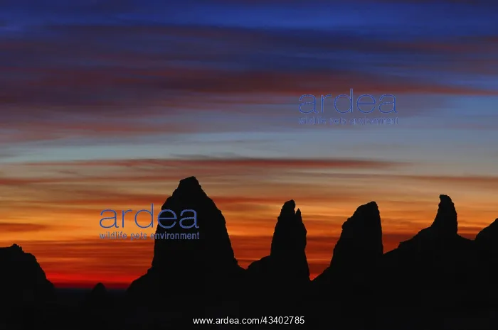 : Egypt, White Desert, bizarre sandstone cliffs, Middle : Egypt, White Desert, bizarre sandstone cliffs, Middle