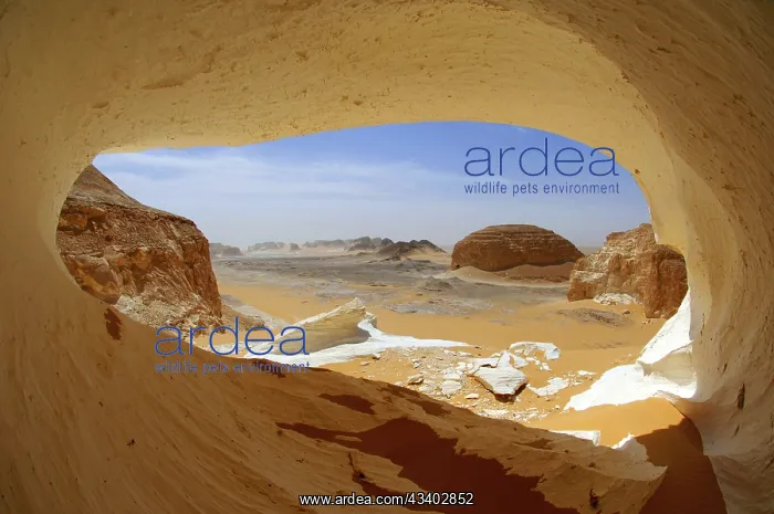 : Egypt, White Desert, bizarre sandstone cliffs, Middle : Egypt, White Desert, bizarre sandstone cliffs, Middle