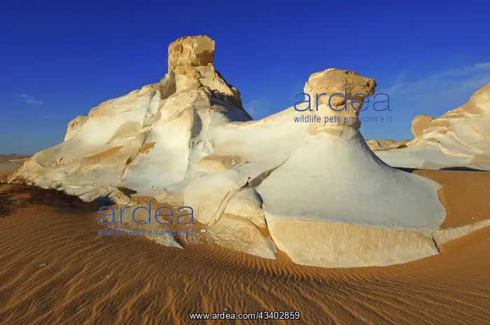 : Egypt, White Desert, bizarre sandstone cliffs, Middle : Egypt, White Desert, bizarre sandstone cliffs, Middle