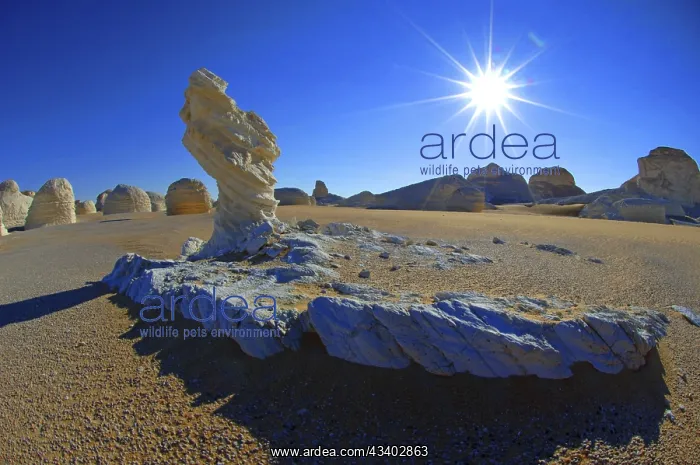 : Egypt, White Desert, bizarre sandstone cliffs, Middle : Egypt, White Desert, bizarre sandstone cliffs, Middle