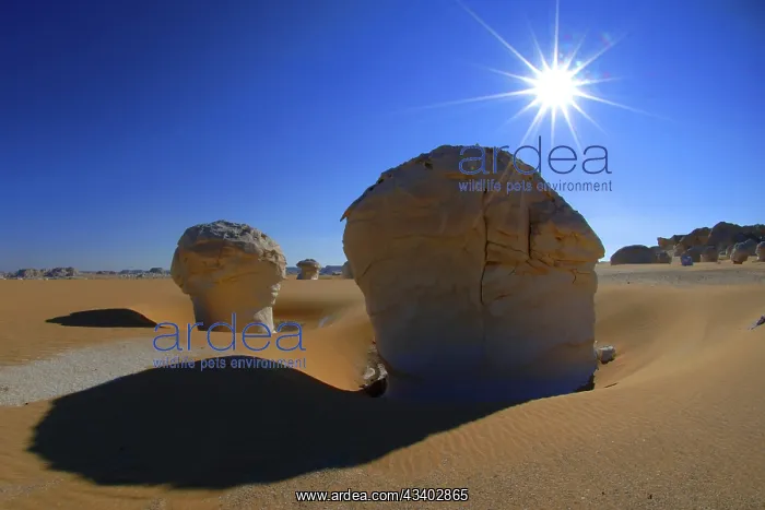 : Egypt, White Desert, bizarre sandstone cliffs, Middle : Egypt, White Desert, bizarre sandstone cliffs, Middle