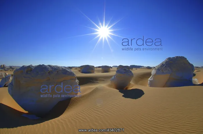 : Egypt, White Desert, bizarre sandstone cliffs, hot : Egypt, White Desert, bizarre sandstone cliffs, hot