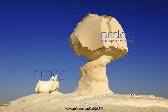 : Egypt, White Desert, bizarre sandstone rocks, mushroom : Egypt, White Desert, bizarre sandstone rocks, mushroom