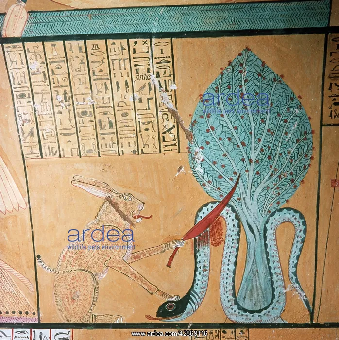 : Egypt XIX Dynasty ( 1300 BC ) wall painting from : Egypt XIX Dynasty ( 1300 BC ) wall painting from