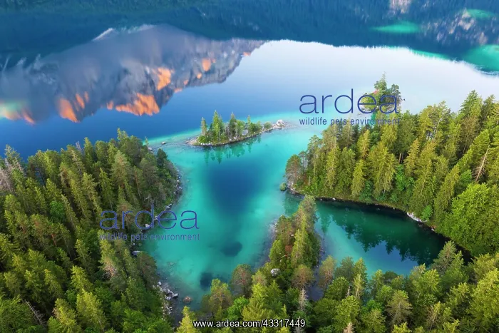 : Eibsee lake with Braxen island and water reflection : Eibsee lake with Braxen island and water reflection