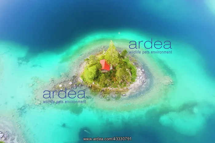 : Eibsee lake with Sch&, x1ae8a9;chl Island in the : Eibsee lake with Sch&, x1ae8a9;chl Island in the