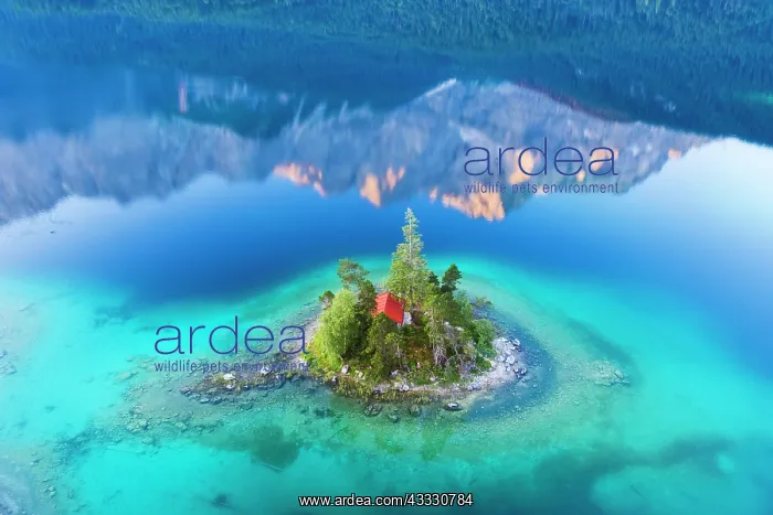: Eibsee lake with Sch&, x1ae8a9;chl Island and water : Eibsee lake with Sch&, x1ae8a9;chl Island and water