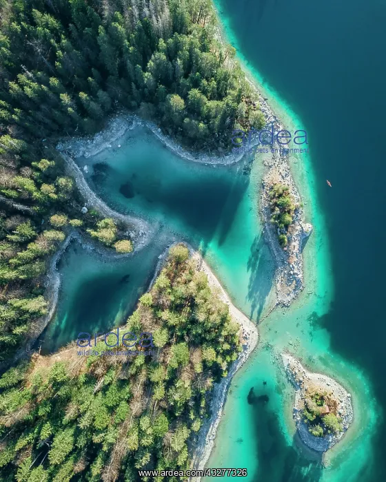 : Eibsee lake, shore area with bays and small islands : Eibsee lake, shore area with bays and small islands