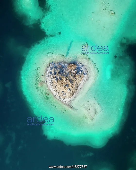  : Eibsee lake, small heart shaped island, Herzinsel