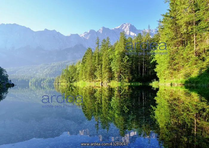 : Eibsee lake with Wetterstein range and Zugspitze : Eibsee lake with Wetterstein range and Zugspitze