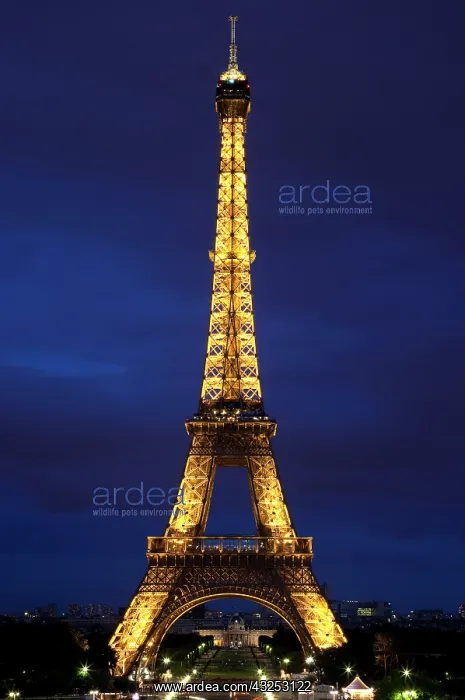: The Eiffel Tower at dusk, Paris, France : The Eiffel Tower at dusk, Paris, France