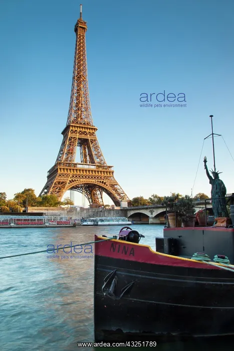 : Eiffel Tower along River Seine, Paris, France : Eiffel Tower along River Seine, Paris, France