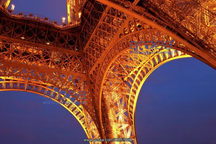 : Eiffel Tower at twilight, Paris, France : Eiffel Tower at twilight, Paris, France