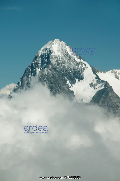  : Eiger (3970 m) rising above clouds from