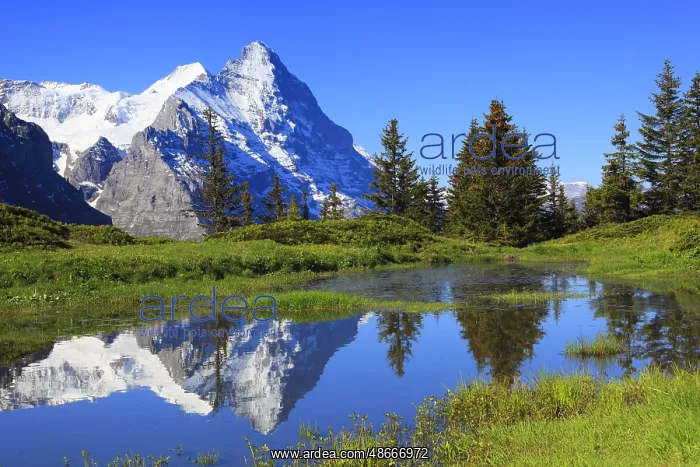  : Eiger and Mic nch, Switzerland, Europe