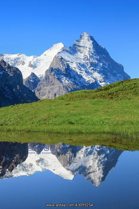 : Eiger and Mnnch, Grindelwald, Switzerland, Europe : Eiger and Mnnch, Grindelwald, Switzerland, Europe