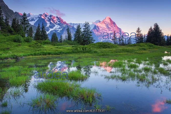 : Eiger, Monk, Switzerland, Europe : Eiger, Monk, Switzerland, Europe