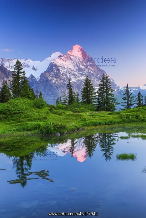 : Eiger, Monk, Switzerland, Europe : Eiger, Monk, Switzerland, Europe