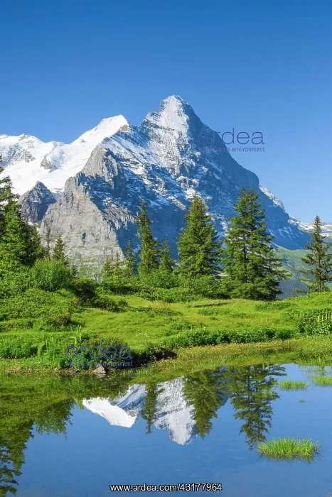 : Eiger and mountain lake, Switzerland, Europe : Eiger and mountain lake, Switzerland, Europe