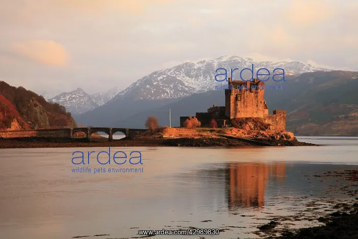 : Eilean Donan Castle : Eilean Donan Castle