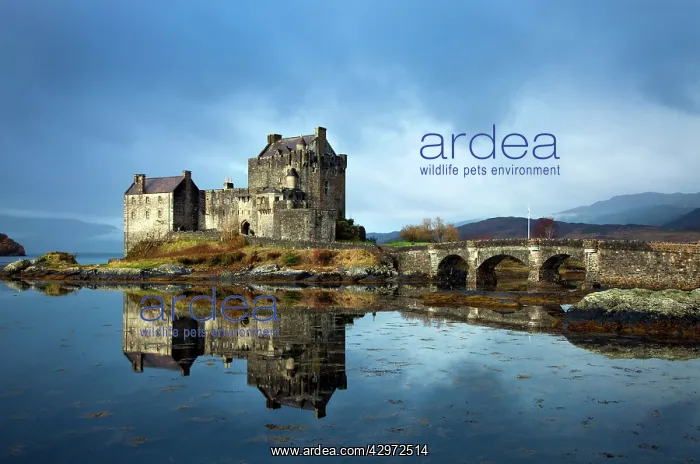 : Eilean Donan Castle - in beautiful light during : Eilean Donan Castle - in beautiful light during