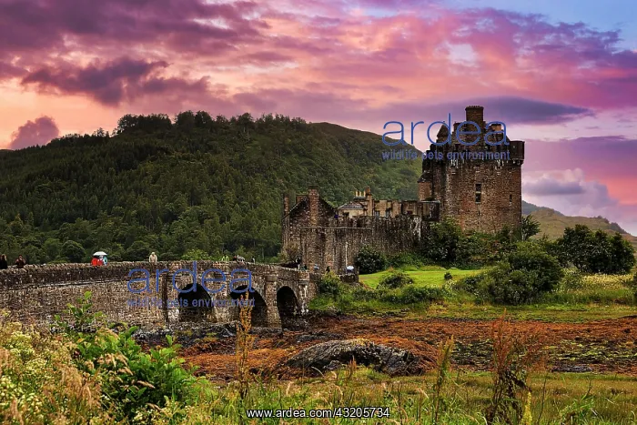 : Eilean Donan Castle, Evening Sky, Dornie, West Highlands : Eilean Donan Castle, Evening Sky, Dornie, West Highlands